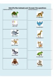 English Worksheet: Do you like ...? (Animals)