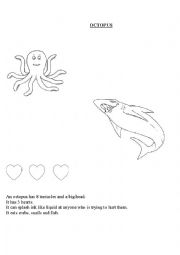 English Worksheet: Octopus