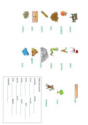 English Worksheet: prepositions of place