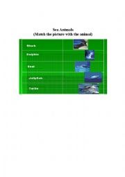 English Worksheet: Sea Animals