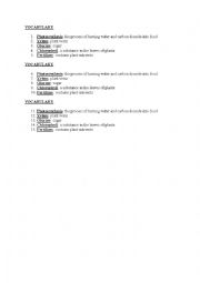 English Worksheet: Photosnthesis Vocabulary