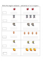 English Worksheet: singular and plural