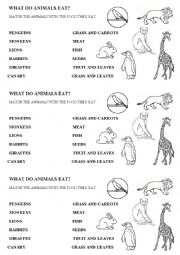 English Worksheet: WHAT DO ANIMALS EAT?