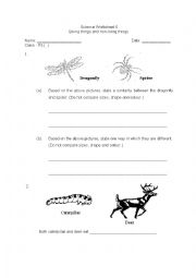 English Worksheet: diversity of materials 