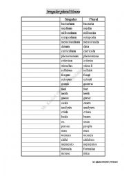 English Worksheet: irregular nouns