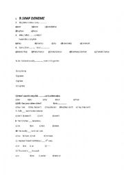 English Worksheet: 9. snf deneme 