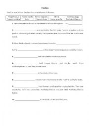 English Worksheet: Human Evolution