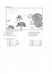 English Worksheet: Life in the pond