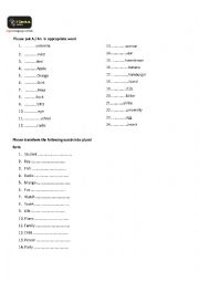 English Worksheet: Article A An