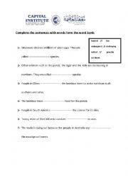 English Worksheet: New parade 5