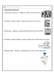 English Worksheet: sports and exercises