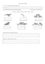 English Worksheet: animals