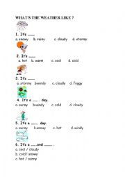 English Worksheet: test