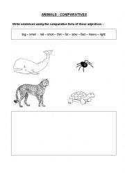 Animals comparatives