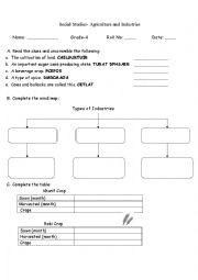 English Worksheet: Social studies