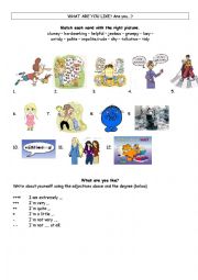 English Worksheet: What are you like?