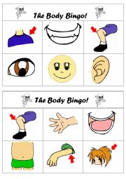 The body bingo