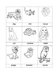 English Worksheet: Animals