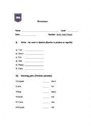 English Worksheet: Adjectives