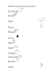 English Worksheet: Learning New Words