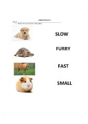 English Worksheet: Using comparative with pets
