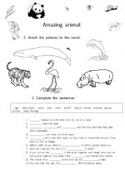 English Worksheet: Amazing animal facts