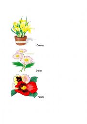 English Worksheet: Flower/herb treasure Hunt