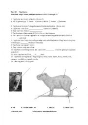English Worksheet: Pets 101 – Capybaras