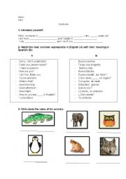 English Worksheet: animals and common expressions