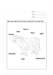 English Worksheet: Cow Body Parts Coloring Sheet