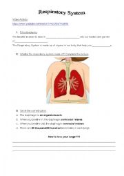 The Respiratory System Video Activity
