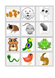 English Worksheet: PETS - pictures and words