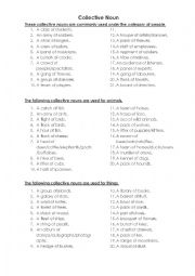 English Worksheet: Collective Noun