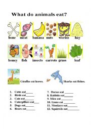 English Worksheet: what do they eat