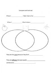 English Worksheet: Compare and Contrast Graphic Organizer 