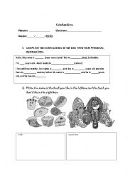 English Worksheet: Evaluation Peronal info. likes and dislikes