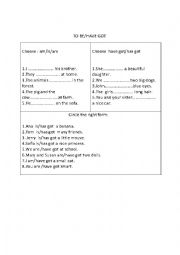 English Worksheet: to be/have got exercises