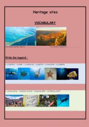 English Worksheet: Your best holiday - Oral comprehension
