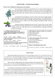 English Worksheet: Revision Studies 2 - Reading Comprehensions