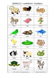 English Worksheet: animals