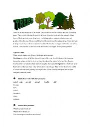 Trees - ESL worksheet by mjsv