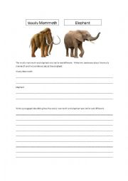 English Worksheet: Compare & Contrast Writing
