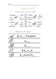 English Worksheet: Insects