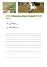 English Worksheet: Choose one animal and write about it