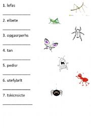 English Worksheet: Insects unscrable