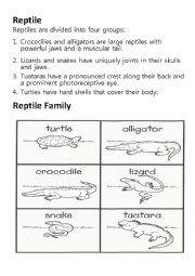 Fun facts on Reptile