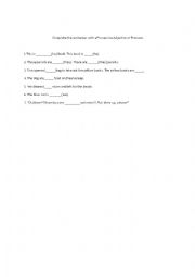 POSSESSIVE ADJECTIVE / PRONOUN EXERCISE