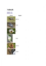 English Worksheet: animal 