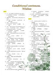 English Worksheet: Conditionals. Wishes