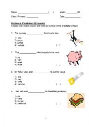 English Worksheet: English practise paper 1 